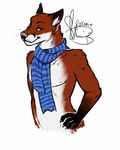  black_fur black_nose brown_eyes canine clothing fox fur looking_at_viewer male mammal nude plain_background red_fur rokemi ryleth scarf solo white_background white_fur 
