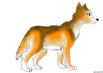  brown_eyes canine fur paws whitewolf&oacute;&oacute;&ograve;&ograve; wolf zepiwolf 