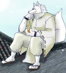  anthro canine claws clothed clothing cloud fox fur gingitsune gintaro hentist japanese_clothing kimono male mammal muscles orange_(fruit) outside pose sandals scar sitting sky solo sun sunny white_fur 