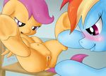  anus blue_fur blush cub duo equine female feral friendship_is_magic fur hair horse lesbian mammal multi-colored_hair my_little_pony navel pegasus pony purple_eyes pussy rainbow_dash_(mlp) saliva scootaloo_(mlp) shoroch sitting spread_legs spreading teats wings young 