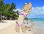  bikini breasts creature71 female lizard milanna reptile scalie seaside swimsuit 