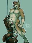  balls bdsm biceps bondage bound brown_fur brown_hair canine chubby deep_throat duo erection fellatio ferret fully_bound fur gay green_eyes hair male mammal muscles mustelid nude oral oral_sex pecs penis plain_background rokemi sex white_hair wolf 