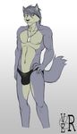  anthro biceps black_nose briefs bulge canine claws dog dog_tags fur grey_fur grin hair hand_on_hip husky kouya_aotsuki looking_at_viewer male mammal morenatsu muscles necklace nipples pecs plain_background pose smile solo speedo standing swimsuit toned topless underwear v--r yellow_eyes 