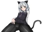  aegis_(nerocc) animal_ears blush cat_ears cat_tail crotch_seam from_below green_eyes looking_at_viewer necktie panties panties_under_pantyhose pantyhose sanya_v_litvyak short_hair silver_hair skirt skirt_lift smile solo strike_witches tail underwear world_witches_series 