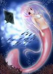  breasts coral fish from_side head_fins light_smile long_hair looking_at_viewer manta_ray mermaid monster_girl multicolored_hair original purple_eyes scales seashell shell shell_bikini small_breasts solo sunlight underwater very_long_hair youkuzuri 