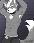  blackwingedheart87 canine clothing collar mammal nintendo presenting simple_background solo star_fox topless video_games wolf wolf_o&#039;donnell wolf_o'donnell 