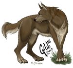  canine english_text feral gibbouswolf harry_potter male mammal remus_lupin solo text were werewolf 