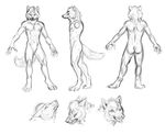  anarchyzeroes anthro butt canine male mammal maquenda model_sheet nipples open_mouth plain_background sketch white_background wolf 