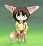 absurd_res anthro apple big_ears blue_eyes brown_hair canine chelsea_(delicious) chelsea_larimore cub delicious_(artist) female fennec fox fruit grass hair hi_res looking_at_viewer mammal smile young 