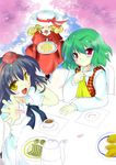  black_hair blonde_hair cherry_blossoms elly green_hair hizaka kazami_yuuka multiple_girls red_eyes shameimaru_aya tea tea_set teapot touhou yellow_eyes 