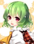  ascot bad_id bad_pixiv_id checkered checkered_shirt face floral_background flower frills green_hair kazami_yuuka looking_at_viewer looking_back open_mouth portrait puffy_sleeves red_eyes shirt short_hair simple_background smile solo touhou wavy_hair white_shirt yutazou 