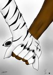  border_collie canine cat cute disembodied_hand dog duo feline fur mammal paws tiger tygar_tiger white_tiger 