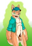  balls biceps big_penis canine chest_tuft clothed clothing dog fur hair hat humanoid_penis looking_at_viewer male mammal partially_clothed penis pubes seaside_(artist) shiba_inu solo standing tuft uncut ying 