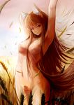  absurdres animal_ears arms_up bbkid blush breasts brown_hair fang highres holo long_hair medium_breasts navel nude pubic_hair pussy red_eyes solo spice_and_wolf tail wheat wheat_field wolf_ears wolf_tail 