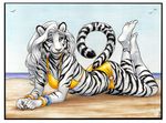  anthro beach bikini bottoms bracelet breasts feline invalid_color jewelry looking_at_viewer megan_giles seaside stripes tiger water white_tigress 