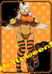  avian beak big_breasts breasts bulge dickgirl digitigrade female granoa gryphon halloween holidays intersex jack_o'_lantern legwear looking_at_viewer nervous panties pixiv_fantasia pumpkin shioinu solo stockings striped_stockings sweat underwear wide_hips yellow_eyes 