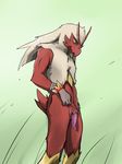  anthro ariffrazalin blaziken flaccid forge hair male nintendo nude penis plain_background pok&#233;mon pok&eacute;mon solo video_games 