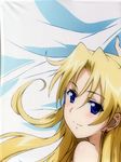  campione! dakimakura erica_blandelli partial_scan stitchme 