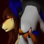  akita anthro black_claws black_fur blue_fur blue_hair brown_fur canine claws couple dog emotion female fur grey_fur hair hashire licking long_hair love male mammal shoulder straight teeth tongue wolf zekestar 