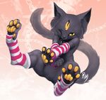  collar feline inkydemon mammal pawpads paws socks stretching whiskers yellow_eyes 