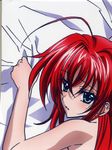  dakimakura highschool_dxd partial_scan rias_gremory stitchme 