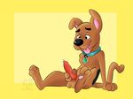  3_toes animal_genitalia balls canine canine_penis collar cub dog great_dane incorgnito knot male mammal masturbation open_mouth penis plain_background scooby-doo scooby-doo_(series) solo tongue tongue_out young 