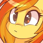  brown_eyes close-up cute equine face female friendship_is_magic fur hair headshot_portrait horse invalid_tag mammal my_little_pony o_o orange_hair pegasus pony portrait solo spitfire_(mlp) spittfire strait_face wings wonderbolts_(mlp) yellow_fur 