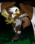  avian bald_eagle bird catmonkshiro cleats clothing drink eagle energy_drink equine feathers field football football_player grass hippogryph hooves horse_tail male mammal pheagle philadelphia_eagles scales shorts talons torn_clothing transformation uniform 