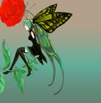 antennae bad_id bad_pixiv_id detached_sleeves flower green_hair hatsune_miku head_wings hoshino_hitsuki insect_girl long_hair monster_girl rose sitting solo thighhighs very_long_hair vocaloid 