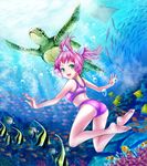  air_bubble barefoot bikini breath bubble coral diving fish freediving gavagai green_eyes highres manta_ray ocean pink_hair sea_turtle short_hair solo swimming swimsuit turtle umi_monogatari underwater urin_(umi_monogatari) water 