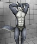  2007 bathroom black_nose blue_eyes bulge canine h0rs3 male mammal solo wolf 