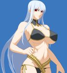  aoi_ship belt bikini breasts detached_collar huge_breasts long_hair loose_belt lowleg lowleg_bikini navel pixel_art red_eyes selvaria_bles senjou_no_valkyria senjou_no_valkyria_1 side-tie_bikini silver_hair simple_background solo strap_gap swimsuit underboob very_long_hair 