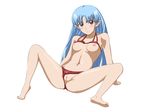  1girl an-atlas bikini blue_hair breasts censored lafiel long_hair looking_at_viewer navel nipples panties panties_aside pointless_censoring pointy_ears purple_eyes pussy seikai_no_senki simple_background solo swimsuit underwear very_long_hair 