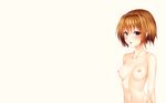  blush breasts brown_eyes brown_hair navel nipples nude original tianlluo 