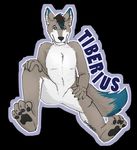  canine cmtmrqz hindpaw icon male mammal paws soles solo tiberius wolf 