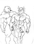  anthro balls bear biceps big big_muscles bovine cattle chubby duo fur gay hair half-erect horn interspecies male mammal musclegut muscles nipples nude pecs penis plain_background pose presenting sketch sudonym vein 