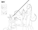  anthro anthro_on_feral bestiality canine_penis castration cheetahlover erection feral interspecies kneeling knot leash male penectomy penis raised_leg shucked standing what 
