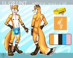  abstract_background anthro back back_turned black_fur blue_eyes bulge canine claws collar english_text fangs fox fur gloves_(marking) h.grunt looking_at_viewer male mammal markings model_sheet nipple_piercing nipples orange_fur piercing red_fox socks_(marking) tattoo text toe_claws underwear vallhund white_fur 