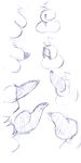  canine_penis comic disembodied_penis drawing_reference erection fluffy irootie isalacious male model_sheet monochrome penis 