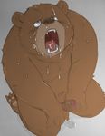  bear chubby cum cum_on_face cum_on_floor erection fur grizzly_bear kitajiro2 kneeling male mammal open_mouth penis plain_background simple_background solo uncut 