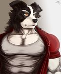  anthro beefcake bernese_mountain_dog biceps big_muscles black_fur black_nose border_collie canine chest_tuft clothing dog fur grin jacket linlvjia looking_away looking_right male mammal manly muscles nipples open_shirt orange_eyes pecs pose red_shirt shirt signature smile smirk solo standing teeth tight_shirt toned tuft unknown_artist white_fur yellow_eyes 