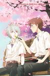  bench brown_hair cherry_blossoms chopsticks couple feeding food hun_(endlesslovehikaru) ikari_shinji male_focus multiple_boys nagisa_kaworu neon_genesis_evangelion obentou petals red_eyes silver_hair sitting smile tree yaoi 