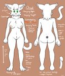  cat donro feline female mammal model_sheet ornod pussy ref_sheet 