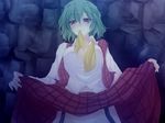  bad_id bad_pixiv_id breasts garter_straps green_hair half-closed_eyes kazami_yuuka large_breasts long_sleeves looking_at_viewer mouth_hold no_panties onsen_tamago_(nurumayu_onsen) open_clothes open_mouth open_vest out-of-frame_censoring red_eyes ribbon ribbon_in_mouth skirt skirt_lift skirt_set solo touhou vest wall 