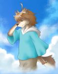  brown_hair canine clothing cloud clouds hair kemono male mammal morenatsu nanafuse shirako shun sky solo unknown_artist wolf 