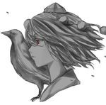  bird crow expressionless hat kuronuko_neero looking_away portrait profile red_eyes shameimaru_aya short_hair solo spot_color tokin_hat touhou 