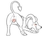  anatomically_correct anatomically_correct_pussy animal_genitalia anus blush canine canine_pussy female feral houndoom leverpuller looking_back mammal nintendo pok&#233;mon presenting pussy raised_tail sketch solo video_games 