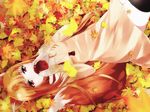  animal_ears apple autumn autumn_leaves brown_hair food fruit ginkgo holo leaf long_hair lying maple_leaf on_back pouch red_eyes sakura_(0tjagjmgptjm) solo spice_and_wolf tail wolf_ears wolf_tail 