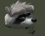  eyewear glasses jonas male mammal raccoon solo 