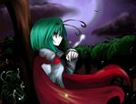  antennae bad_id bad_pixiv_id cape fireflies green_eyes green_hair night short_hair solo touhou wasabi_karasi wriggle_nightbug 